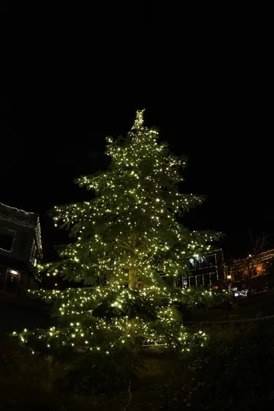 DSC_0024 (Large).JPG